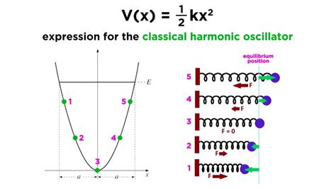 The dynamics of a coupled ground and . . Quantum harmonic oscillator